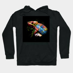 Chameleon Hoodie